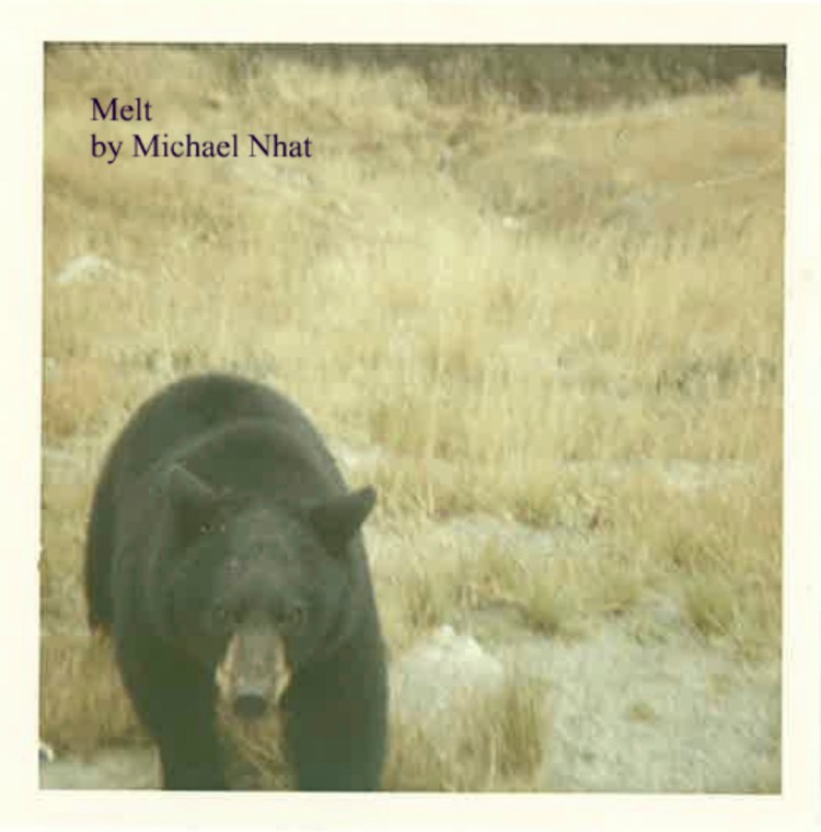 melt_album_cover_801_812